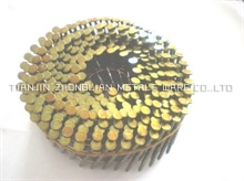 COIL WIRE NAIL